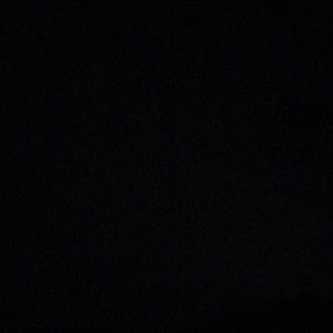 Meet your Posher, Neisha